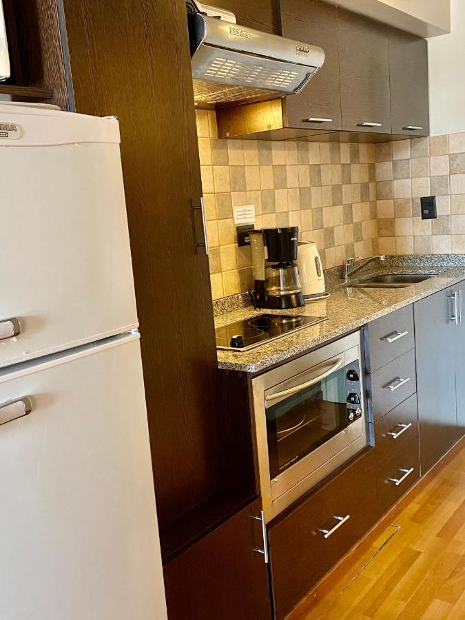460 Loft Apartments San Carlos de Bariloche Eksteriør bilde